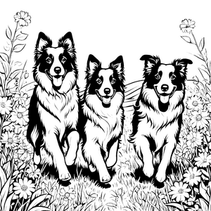 Drei fröhliche Border Collies im blühenden Feld Ausmalmotiv für abenteuerlustige Tierfreunde