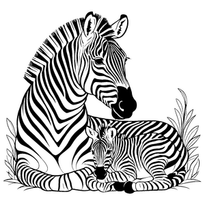 Mutterzebra mit ihrem schlafenden Fohlen Malvorlage für fantasievolle Tierliebhaber
