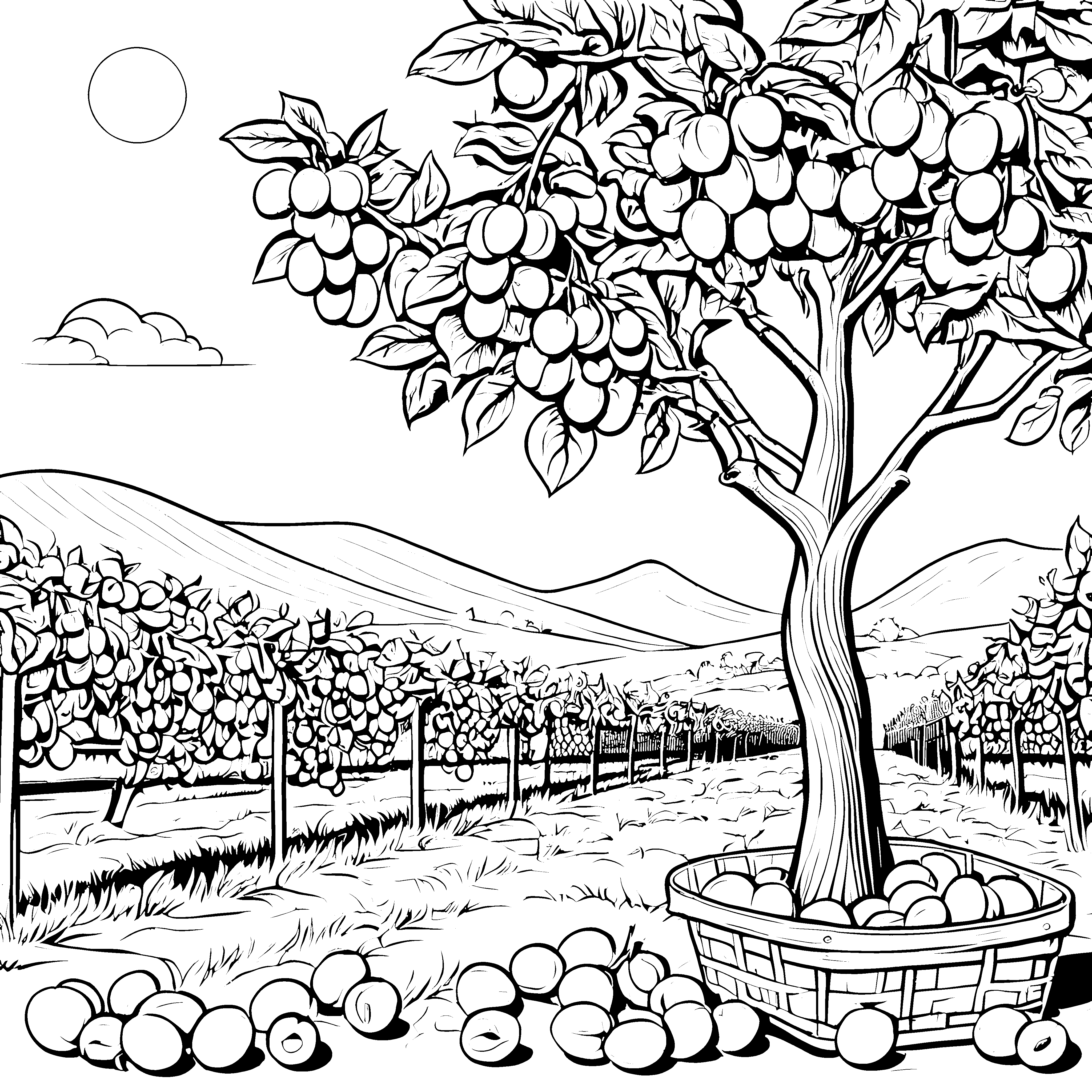 Fruchtige Aprikosen am saftigen Baum Ausmalvorlage für kleine Naturforscher