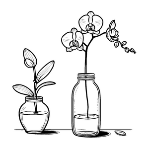 Zauberhafte Orchideen in schimmernden Vasen Ausmalbild für kleine Blumenliebhaber