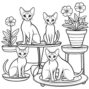 Sphynx Katzen-Motiv