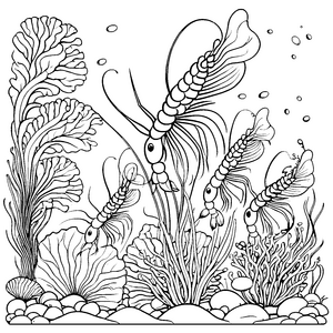 Fünf elegante Garnelen im bunten Unterwasserreich Ausmalbild für kleine Meeresforscher