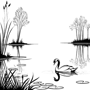 Schwan im ruhigen Teich Ausmalvorlage für fantasievolle Naturentdecker
