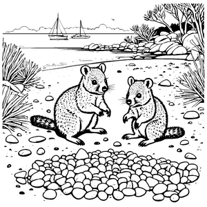 Quokka Babys entdecken ihren bunten Lieblingsplatz Ausmalmotiv für kleine Abenteurer