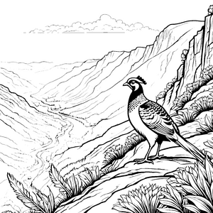 Faszinierender Fasan auf majestätischer Berglandschaft Ausmalbild für abenteuerlustige Künstler