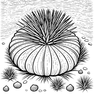 Seeigel-Motiv