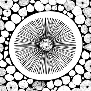 Seeigel-Motiv
