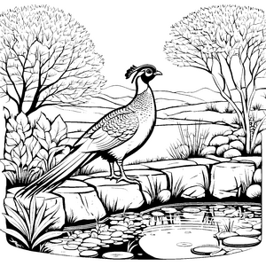 Majestätischer Fasan am glitzernden Teich Ausmalvorlage für neugierige Naturfreunde
