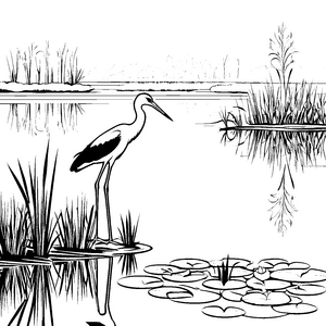 Storch auf ruhigem Wasser mit spiegelndem Ufer Ausmalbild für fantasievolle Naturliebhaber