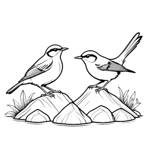 Zwei fröhliche Vögel auf bunten Steinen Ausmalvorlage für neugierige Entdecker