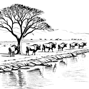 Grasende Gnus am glitzernden Fluss Ausmalbild für neugierige Naturentdecker