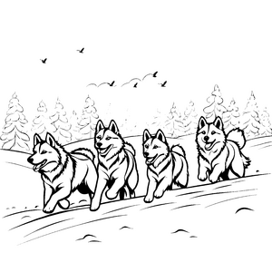 Drei fröhliche Huskys im verschneiten Wald Ausmalbild für abenteuerlustige Tierfreunde