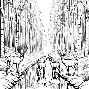 Faszinierende Rehe am glitzernden Wasser Malvorlage für junge Naturfreunde