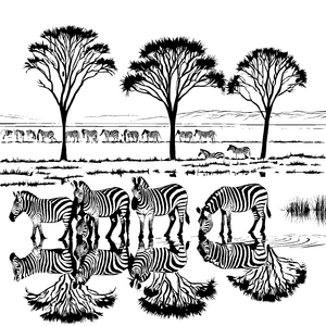 Zebras am glitzernden Wasserloch Ausmalvorlage für kreative Tierfreunde