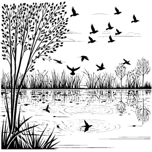 Spritzige Vögel im erfrischenden Wasser Ausmalvorlage für fröhliche Naturentdecker