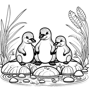 Schnabeltier-Babys beim fröhlichen Spielen Ausmalbild für kleine Wasserfreunde