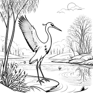 Stolzer Storch am glitzernden Wasser Ausmalmotiv für neugierige Naturentdecker