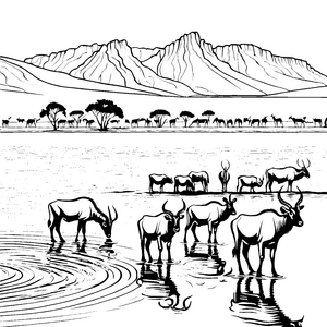 Entspanntes Gnu-Trio trinkt am ruhigen Wasser Ausmalvorlage für neugierige Naturfreunde