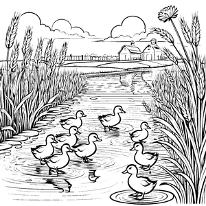 Niedliche Entenküken beim Planschen im Teich Ausmalvorlage für neugierige Wasserentdecker
