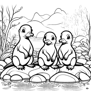 Süße Schnabeltier-Babys am glitzernden Wasser Malvorlage für kleine Naturforscher