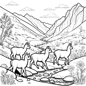 Fröhliche Lama-Jungtiere beim plätschernden Bachufer Ausmalvorlage für neugierige Naturentdecker