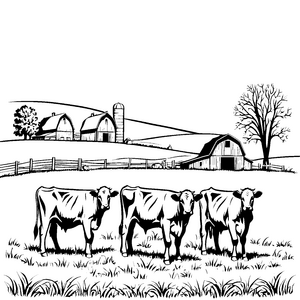 Lustige Kühe auf der idyllischen Farm Ausmalbild für neugierige kleine Bäuerchen