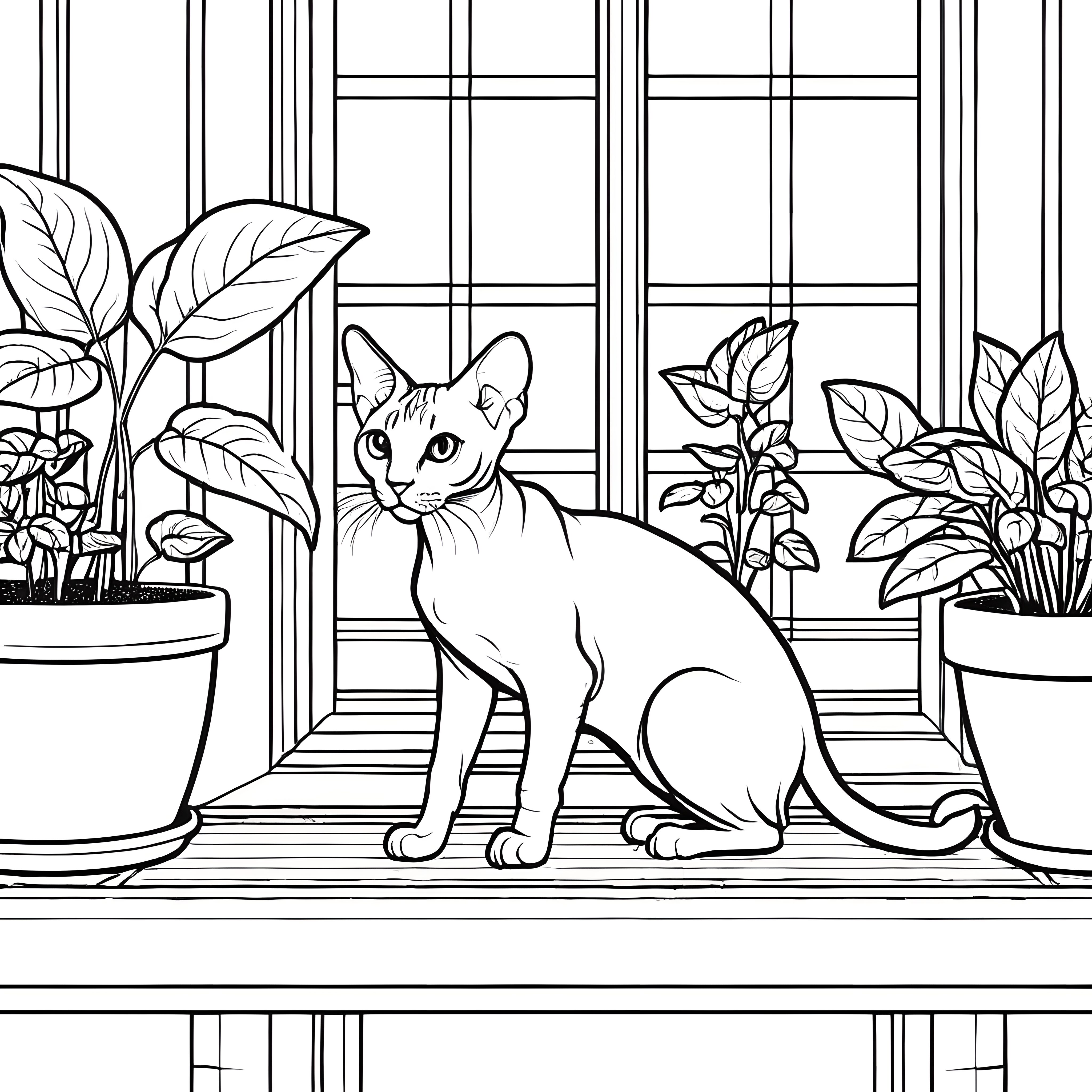 Charmante Sphynx Katze in gemütlichem Pflanzenparadies Ausmalvorlage für kreative Tierfreunde