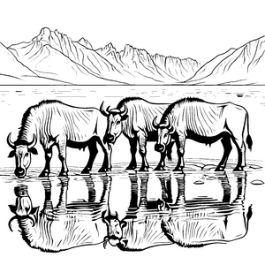 Harmonische Gnus beim Wassertrinken Ausmalmotiv für neugierige Naturfreunde
