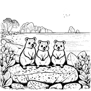 Drei niedliche Quokka-Babys auf buntem Stein Ausmalbild für abenteuerlustige Tierfreunde