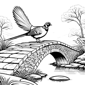 Majestätischer Fasan auf idyllischer Brücke Malvorlage für neugierige Tierfreunde