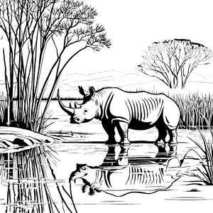Nashorn im ruhigen Wasser mit Spiegelbild Ausmalbild für kreative Tierfreunde