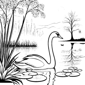 Eleganter Schwan auf ruhigem Wasser Ausmalvorlage für fantasievolle Künstler