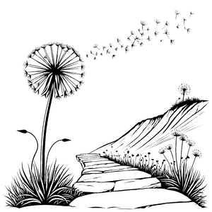 Löwenzahn-Wiese mit fliegenden Pusteblumen Ausmalbild für kleine Naturforscher
