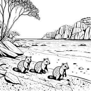 Drei neugierige Quokka Babys am Strand Ausmalvorlage für abenteuerlustige Tierentdecker