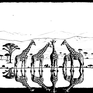 Sänftetragende Giraffen am ruhigen Wasser Ausmalmotiv für kleine Naturforscher