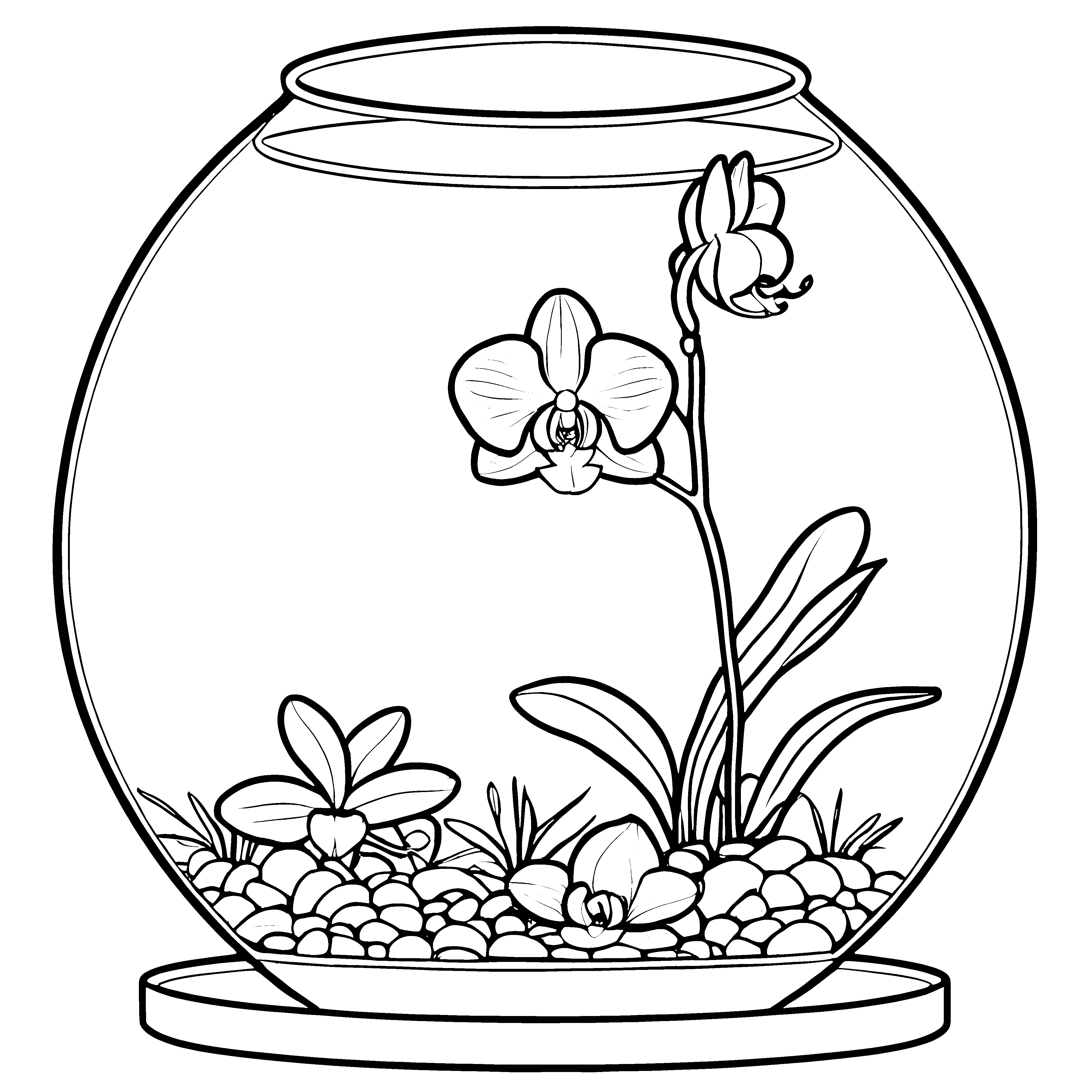 Bezaubernde Orchideen im gläsernen Terrarium Ausmalbild für fantasievolle Maler