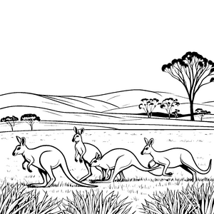 Spritzige Kängurus im weiten Outback Ausmalvorlage für fröhliche Entdecker