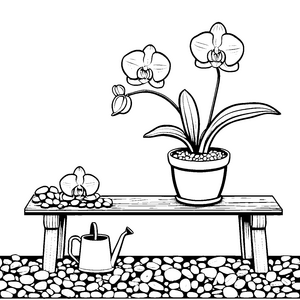Zauberhafte Orchideen auf rustikalem Tisch Ausmalvorlage für kleine Gartenfreunde