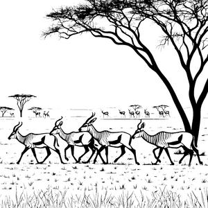 Elegante Gazellen in der savannengrünen Steppe Ausmalmotiv für neugierige Tierentdecker