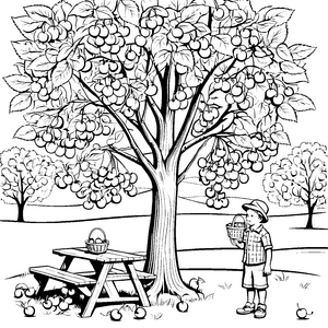 Kreative Kirschenernte unter dem blühenden Baum Ausmalvorlage für kleine Naturentdecker