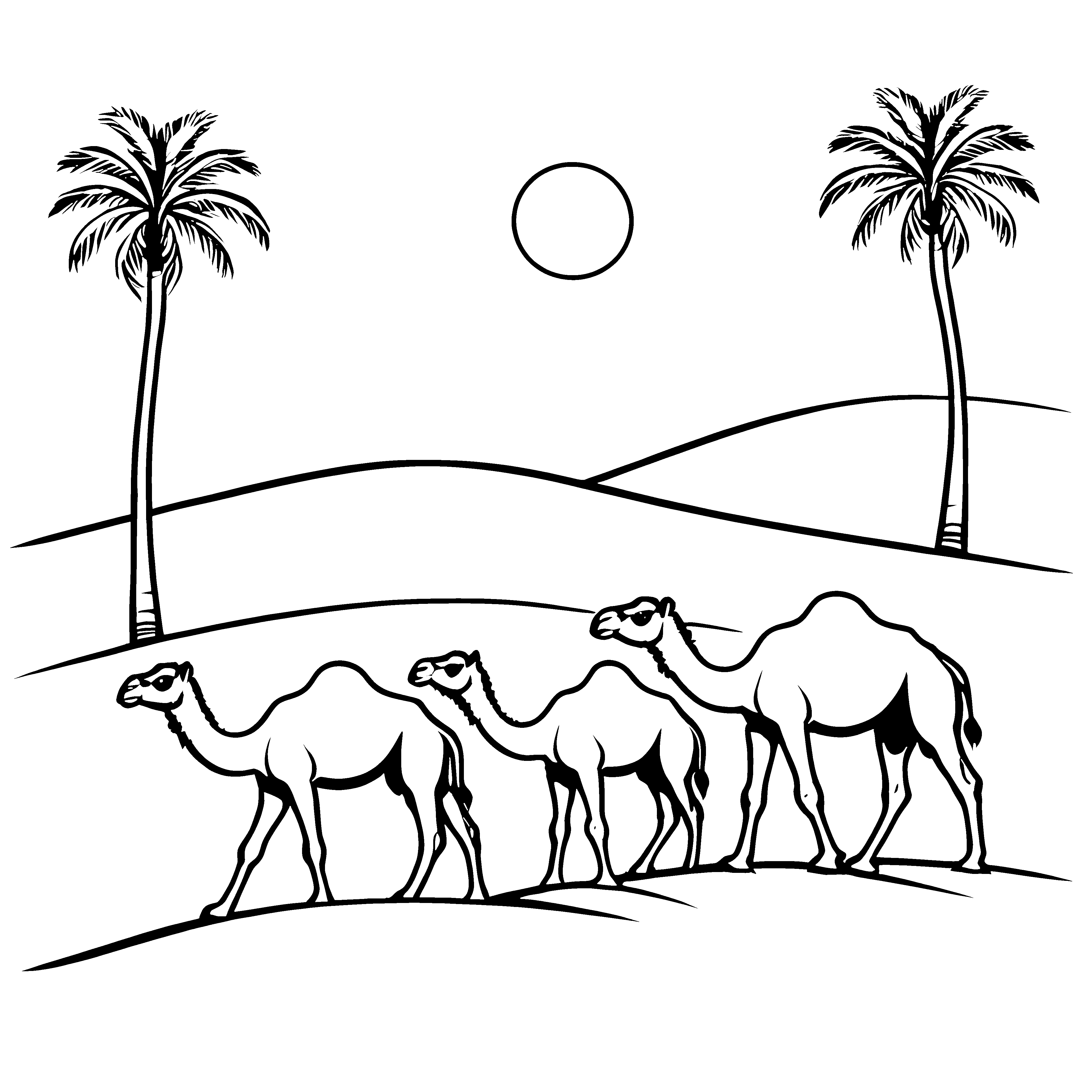 Wandernde Kamelbabys unter strahlender Sonne Ausmalbild für kleine Abenteurer