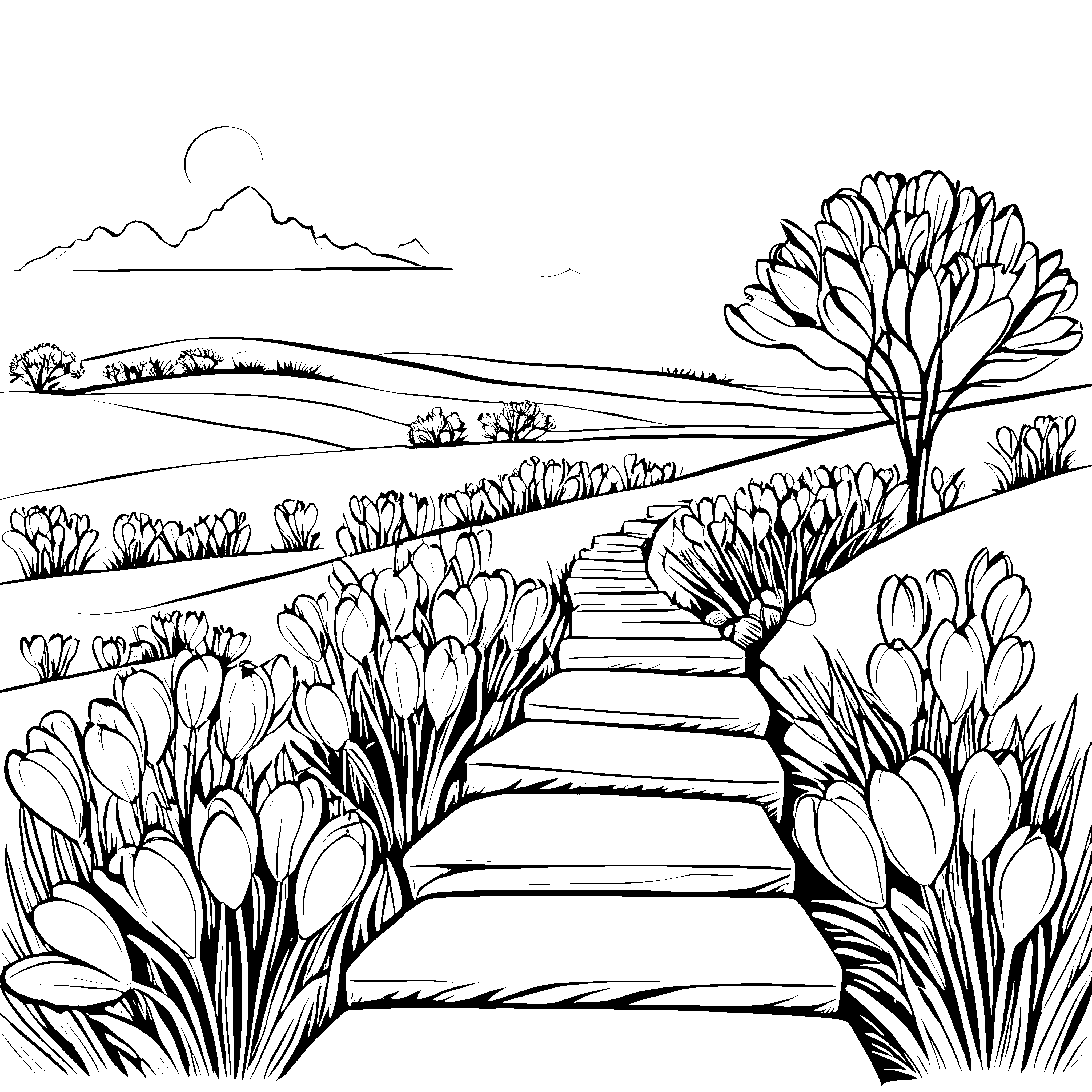 Blühende Krokusse am Traumweg Ausmalbild für neugierige Naturfreunde