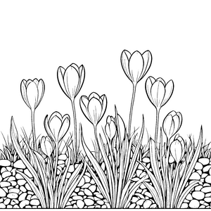 Faszinierende Krokusse im bunten Garten Ausmalvorlage für kleine Naturentdecker