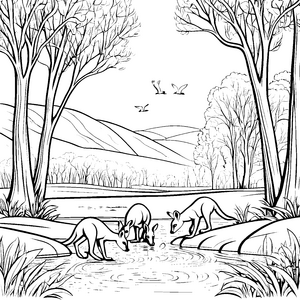 Känguru Jungtiere am sprudelnden Wasser Malvorlage für neugierige Naturentdecker
