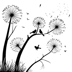 Verzauberte Vögel auf filigranen Löwenzahn-Bäumen Ausmalvorlage für kleine Naturforscher