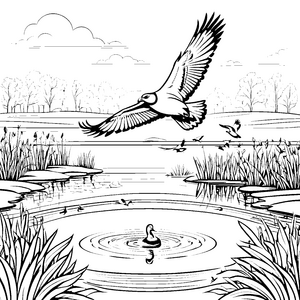 Bussard über dem Teich: Ein Ausmalspaß mit Schilf und Wolken