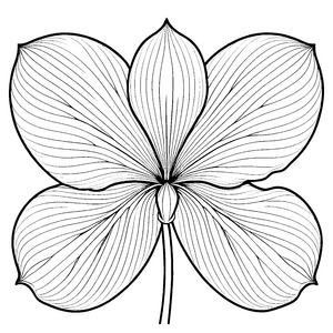 Schillerndes Mandala mit eleganten Blüten für neugierige Farbkünstler