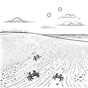 Spinnen im Treibsand am Strand malen zum Ausmalen