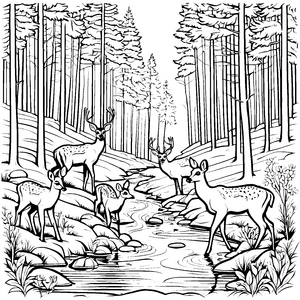 Rehe am Bach im Wald: Ein Ausmalspaß für Kinder