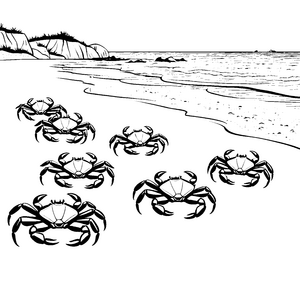 Krabben am Strand: Ein Ausmalspaß mit Meerestieren
